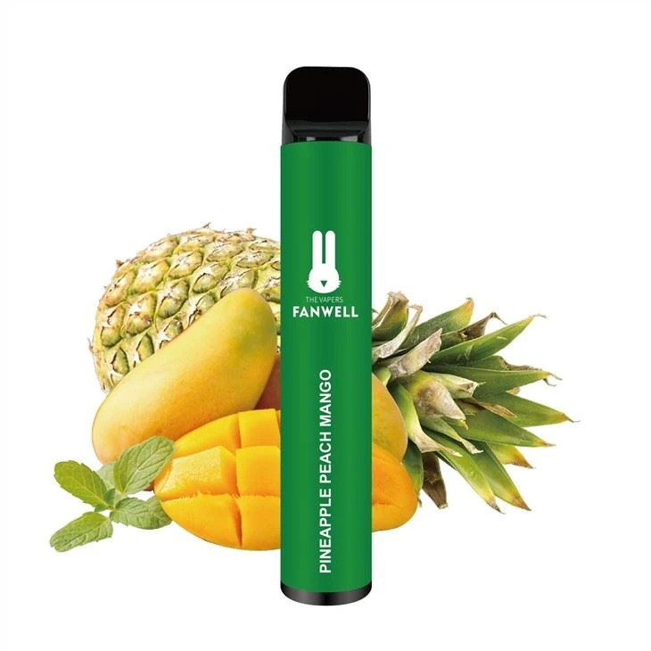 Electronic Cigarettes 1000 Puffs