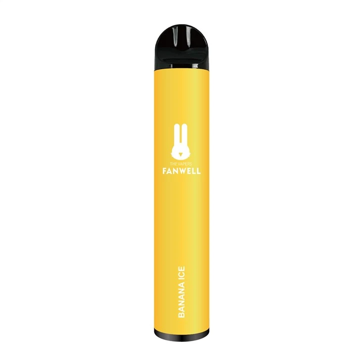 Hot Disposible Vape 2500 PUFFS