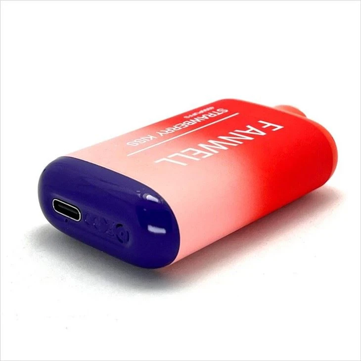 450mah USB Rechanging Elfbar Vapes 5000 Puffs Smoking Pods E Liquide