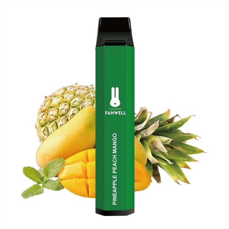 USB Recharing 3000 Puffs Disposable Vape