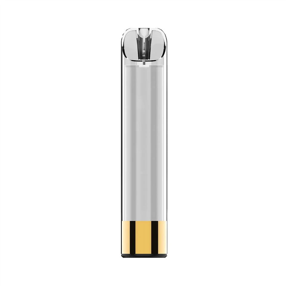 Customized Various Flavors Disposable E Cig