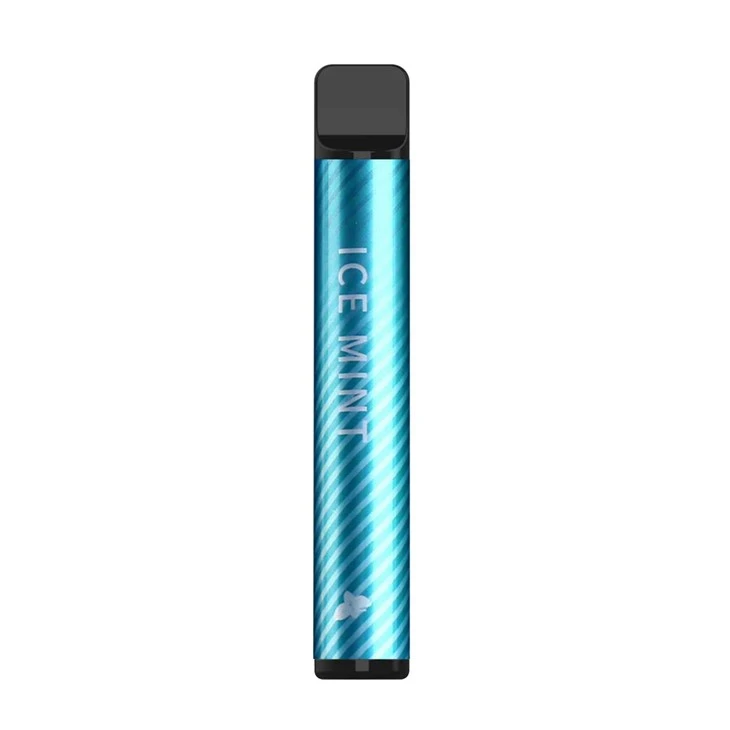 Disposable Electronic Cigarette 600 Puffs UY012